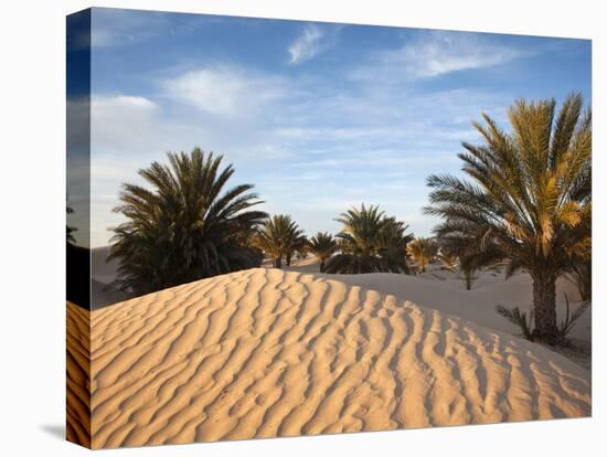 Great Dune at Dawn, Douz, Sahara Desert, Tunisia-Walter Bibikow-Premier Image Canvas