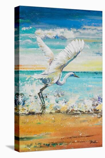 Great Egret I-Patricia Pinto-Stretched Canvas