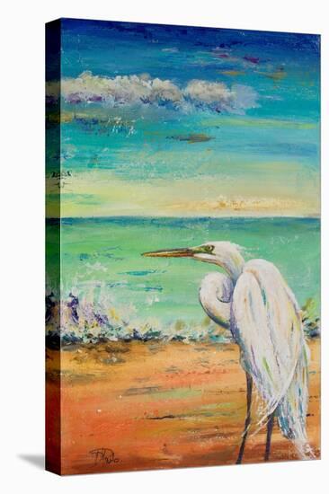 Great Egret II-Patricia Pinto-Stretched Canvas