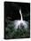 Great Egret in Courtship Display-Charles Sleicher-Premier Image Canvas