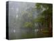 Great Egret Reflected in Foggy Cypress Swamp, Lake Martin, Louisiana, USA-Arthur Morris-Premier Image Canvas
