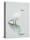 Great Egret Reflected-Arthur Morris-Premier Image Canvas