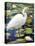 Great Egret-Max Hayslette-Premier Image Canvas
