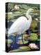 Great Egret-Max Hayslette-Premier Image Canvas