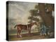 Great-Grandson of "Darley Arabian" Raced 1769-1770 in 18 Races All of Which He Won-George Stubbs-Premier Image Canvas