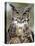 Great Horned Owl (Bubo Virginianus) in Captivity, Wasilla, Alaska, USA-James Hager-Premier Image Canvas