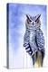 Great Horned Owl in Blue-Michelle Faber-Premier Image Canvas