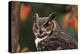 Great Horned Owl with Blurred Autumn Foliage-W^ Perry Conway-Premier Image Canvas