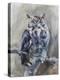 Great Horned Owl-Renee Gould-Premier Image Canvas