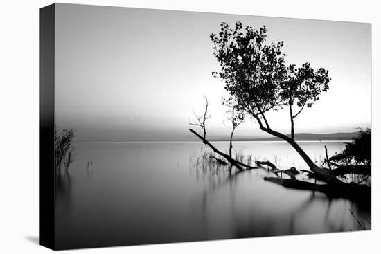 Great Lake-PhotoINC-Premier Image Canvas