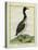 Great Northern Diver-Georges-Louis Buffon-Premier Image Canvas