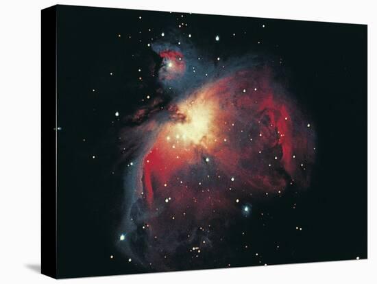 Great Orion Nebula-Digital Vision.-Premier Image Canvas