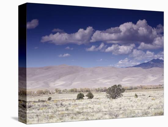 Great Sand Dunes National Monument at the Foot of the Sangre De Cristo Mountains in Colorado-Carol Highsmith-Stretched Canvas