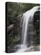 Great Smoky Mountains, a Waterfall Flows from the Forest-Christopher Talbot Frank-Premier Image Canvas