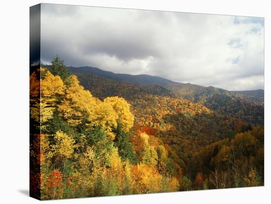 Great Smoky Mountains National Park in Autumn from Thomas Ridge, North Carolina, USA-Adam Jones-Premier Image Canvas