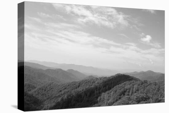 Great Smoky Mountains-Herb Dickinson-Premier Image Canvas