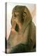 Great Sphinx of Amenemhat II, Ancient Egyptian-null-Premier Image Canvas