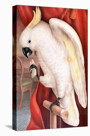 Great Sulphur-Crested Cockatoo by James Whitley Sayer-Fine Art-Premier Image Canvas