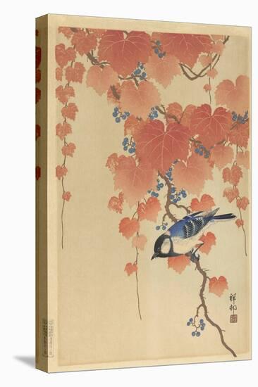 Great Tit on Paulownia Branch, 1925-36-Ohara Koson-Stretched Canvas