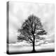 Great Tree-null-Premier Image Canvas