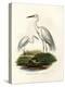 Great White Egret, 1864-null-Premier Image Canvas