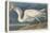 Great White Heron, 1835-John James Audubon-Premier Image Canvas