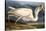 Great White Heron from "Birds of America"-John James Audubon-Premier Image Canvas