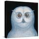 Great White Owl, 1996-Tamas Galambos-Premier Image Canvas