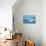 Great White Shark Swimming Underwater-null-Stretched Canvas displayed on a wall