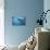 Great White Shark Swimming-DLILLC-Premier Image Canvas displayed on a wall