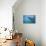 Great White Shark Swimming-DLILLC-Premier Image Canvas displayed on a wall