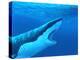 Great White Shark-Chris Butler-Premier Image Canvas