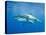 Great White Shark-DLILLC-Premier Image Canvas