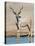 Greater Kudu (Tragelaphus Strepsiceros) at Waterhole, Etosha National Park, Namibia-null-Stretched Canvas