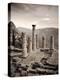 Greece, Delphi (Unesco World Heritage Site), Temple of Apollo-Michele Falzone-Premier Image Canvas