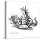 Greedy Frog, Conceptual Artwork-Bill Sanderson-Premier Image Canvas