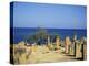 Greek Latin Cultural Center and Mausoleum, Mediterranean Sea-Michele Molinari-Premier Image Canvas