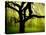Green and Golden Landscape behind Tree-Jan Lakey-Premier Image Canvas