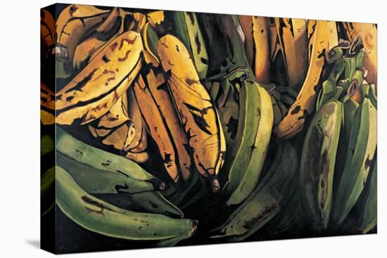 Green and Ripe Plantains, 2009-Pedro Diego Alvarado-Premier Image Canvas