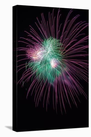 Green and Violet Amazing Fireworks Isolated in Dark Background-lucky-photographer-Premier Image Canvas