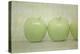 Green Apple Still Life-null-Premier Image Canvas