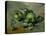 Green Apples, Around 1873-Paul Cézanne-Premier Image Canvas