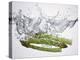 Green Asparagus Falling into Water-Kröger & Gross-Premier Image Canvas