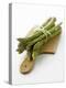Green Asparagus on Chopping Board-Klaus Arras-Premier Image Canvas