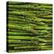 Green Asparagus Spears-Dave King-Premier Image Canvas