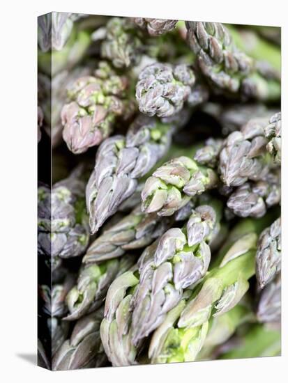 Green Asparagus-Frank Tschakert-Premier Image Canvas