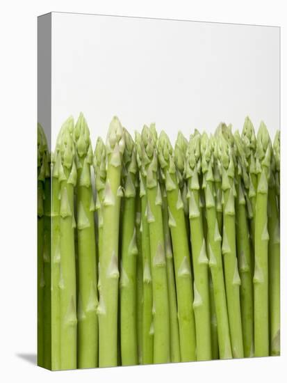 Green Asparagus-null-Premier Image Canvas