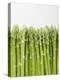 Green Asparagus-null-Premier Image Canvas