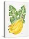 Green Bananas-Cat Coquillette-Premier Image Canvas