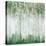 Green Birch Forest-Ian C-Stretched Canvas